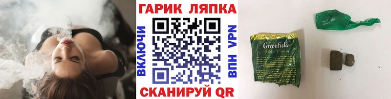 мега ССЫЛКА  купить наркотики сайты  Ветлуга  ГАШ hashish 