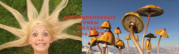таблы Алексин