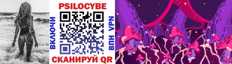 где продают   Ветлуга  Галлюциногенные грибы MAGIC MUSHROOMS 