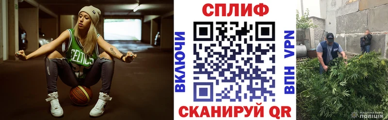 Бошки Шишки планчик  Ветлуга 